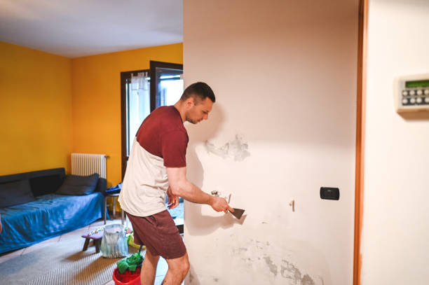 Best Toxic Mold Removal  in Skyline Ganipa, NM